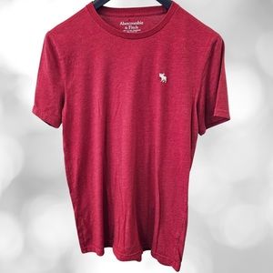 Abercrombie & Fitch Short Sleeve T-Shirt, Sz Medium, Red, Lime new